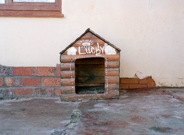 Lucky's Kennel