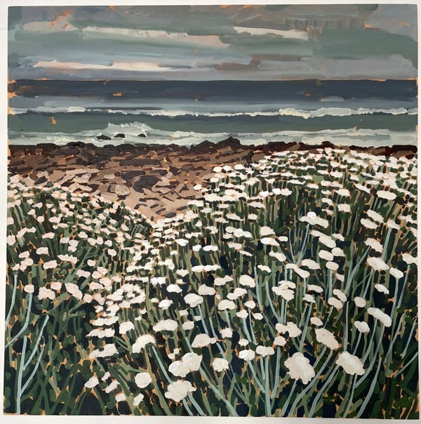 Fynbos with rocky beach