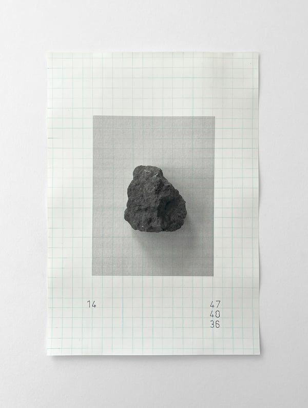Pafuri, 2014