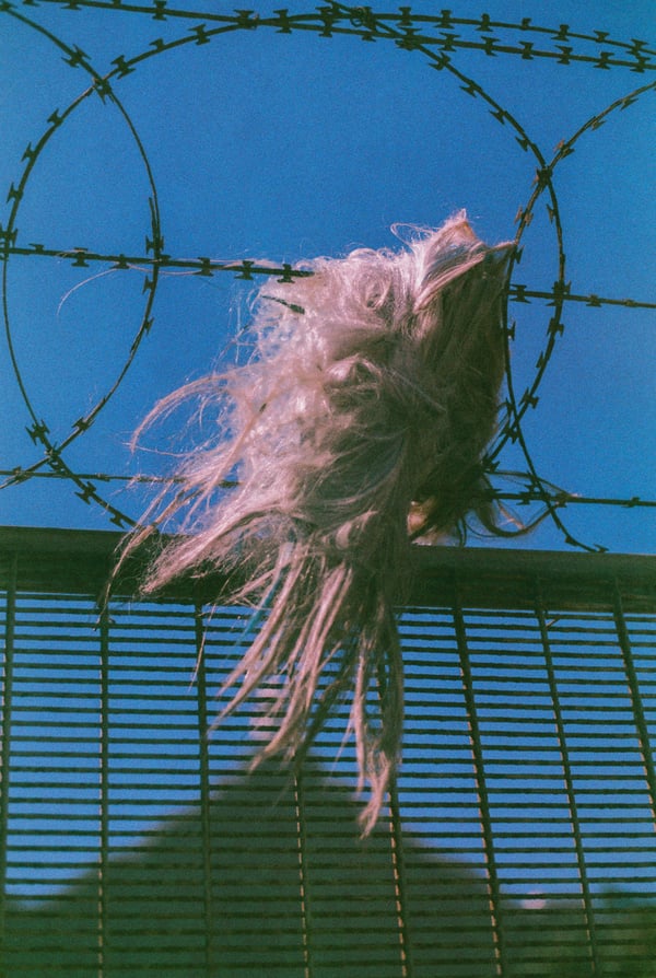 Wig #4