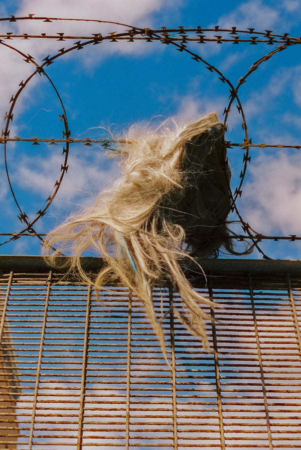 Wig #8