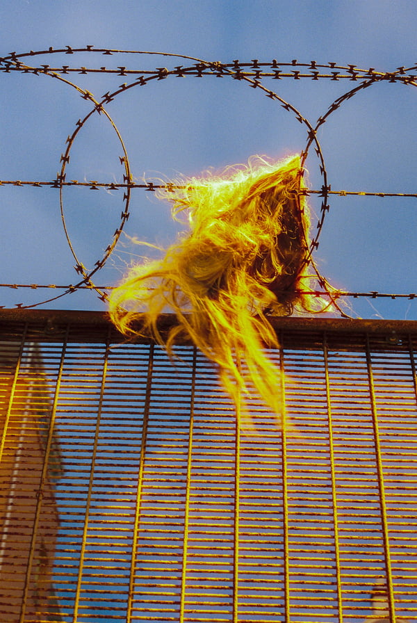 Wig #9 Night