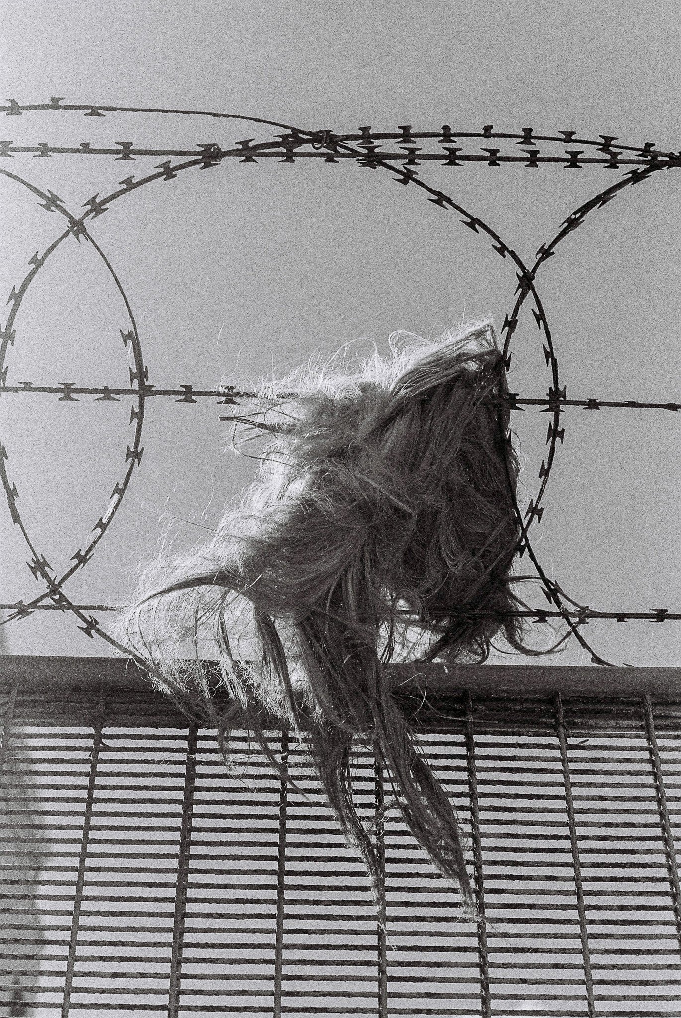 Wig #1