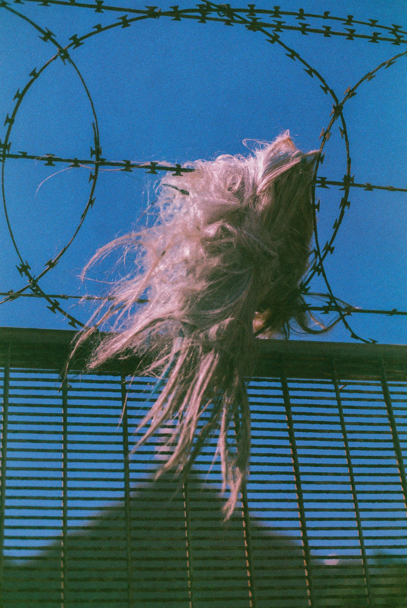 Wig #4
